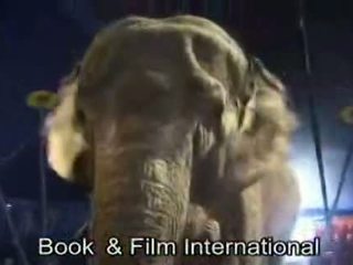 320px x 240px - 3d elephant :: Free Porn Tube Videos & 3d elephant Sex Movies