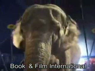 Elephant Sex Hd Video - 3d elephant :: Free Porn Tube Videos & 3d elephant Sex Movies