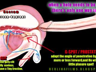 Shemale aanatomy(some rodzaj z sissy-trainer)