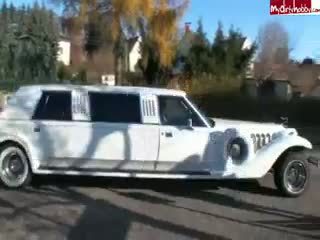 Limo sex petrecere