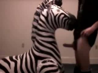 Xxx Zebra Woman - Zebra