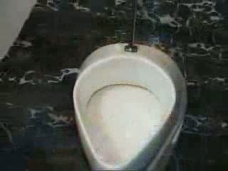 Sporco screwing su il toilets (part 1)