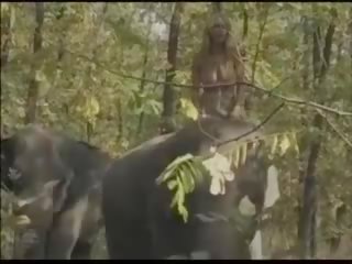 Kuninganna kohta the elephants, tasuta tasuta kuninganna porno 54