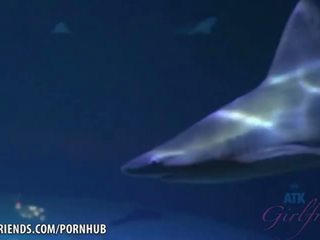 Great White Shark Sex Porn - Point Of View anal porn videos, Point Of View sex movies